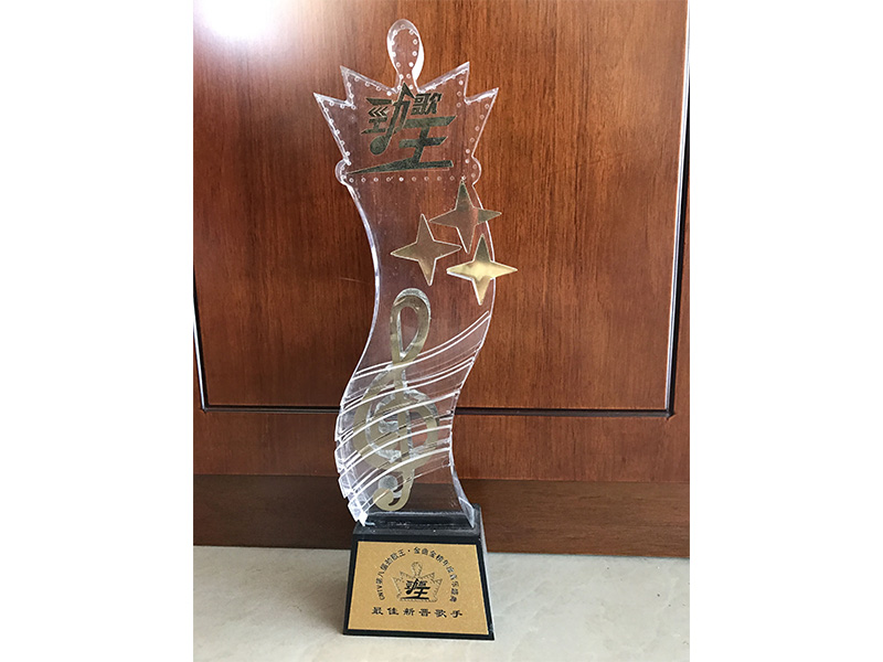 獲第八屆最佳新晉歌手獎