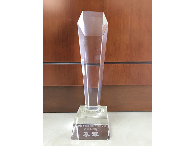 第五屆中國內衣模特大賽廣東分賽區季軍