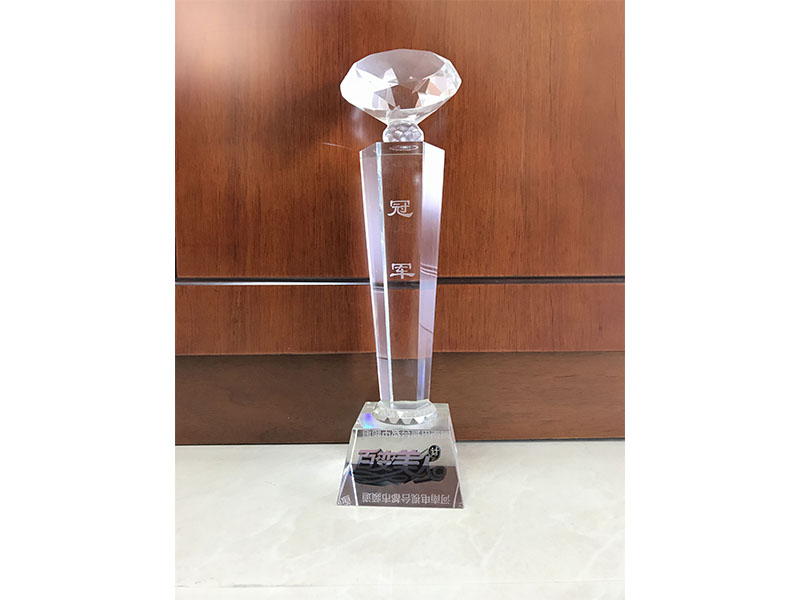 《百變美人計》冠軍